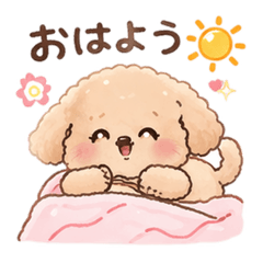 Adorable Toy Poodle Everyday Stickers