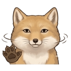 Can be used (?) Tibetan fox