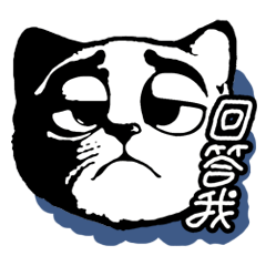 233_臺灣用語_問候詞語_小貓咪