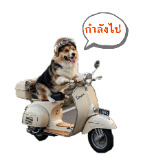 Meetang_20260404034348