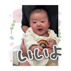 BASHIKO_20260404092356