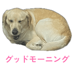 akohira_20260404093116