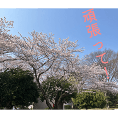 yusei_20260404093208