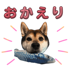 momonomanma_20260404092837