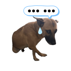 小黃米克斯錢錢