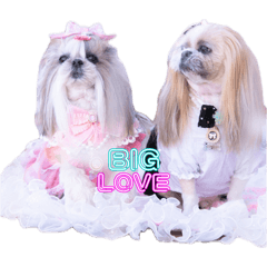 komugi stamp_20260404094220