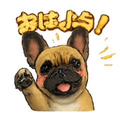 achiko_20260404093727