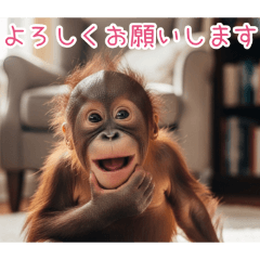 PAKAMOGOLY_20260404095622