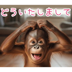 PAKAMOGOLY_20260404095806