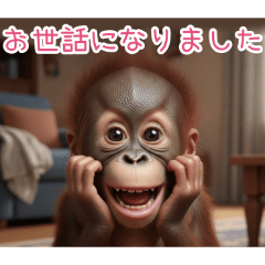 PAKAMOGOLY_20260404095710