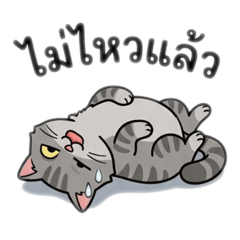 Candy floss_20260404110202