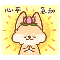 耳廓狐阿芙：台味十足的日常