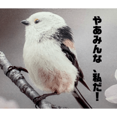 KamatKyousuke_20260401084224