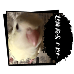 amuma_20260401110152