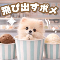 飛び出す癒しポメラニアンの挨拶スタンプ