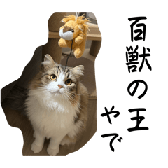 rinya_20260404112209