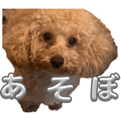 Watanabe_20260404111127