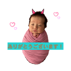 pitomi_20260404111426