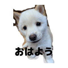 ryuku_20260404142241