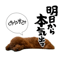 shuriko_20260404143338