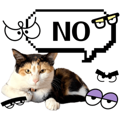 siggy_20260404131600