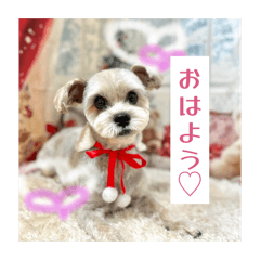 AHAHA_20260404143143