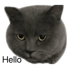 hiroyama_20260404143439