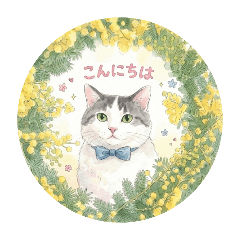 kuuchan mam_20260404142351