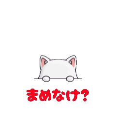 Animated! Pyokonto Toyama 25 Vol.2