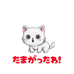 Animated! Pyokonto Toyama 25 Final