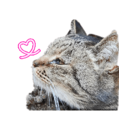 NakamuraAyame_20260404120239