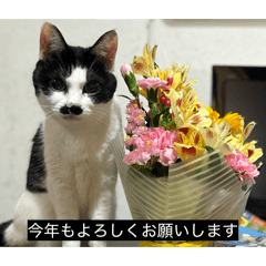 IROENPITSU_20260404132341