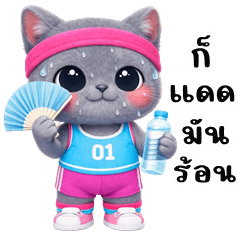 น้องแมวสวนลุม (บิ๊กสติกเกอร์)