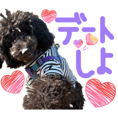 runco_20260404150754