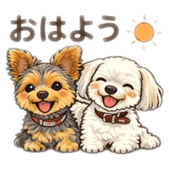 popola_20260404115711