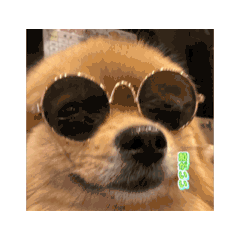 komugi_20260405010450