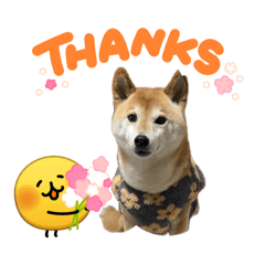 chikuwa mom_20260404140831