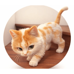 yuichiro_20260404141255