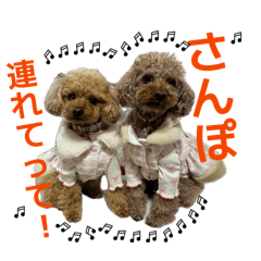 mirii_20260404141921