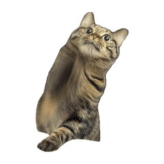 anzumaru_20260404141952