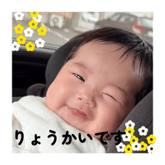 yukadon_20260404141755