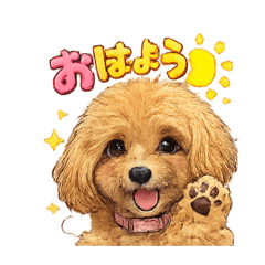 Choco chip_20260404124020