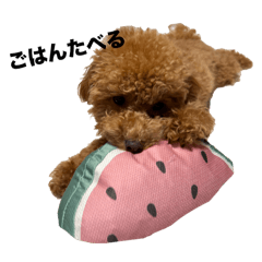 SUGESAN_20260404171640