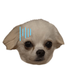 piyochan^_^_20260404130446