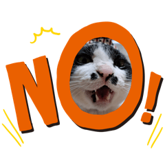 Yuzuki_20260404134236