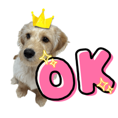 seijo_20260404134726