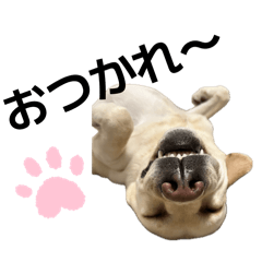 mitisuke_20260404140310