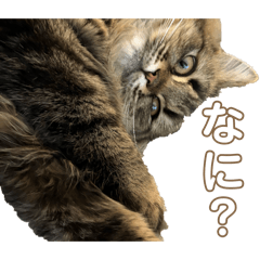 lee aya_20260404134728