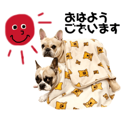 kocchi_20260404134656