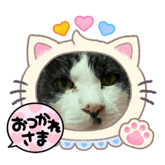 marimn1207_20260404163006